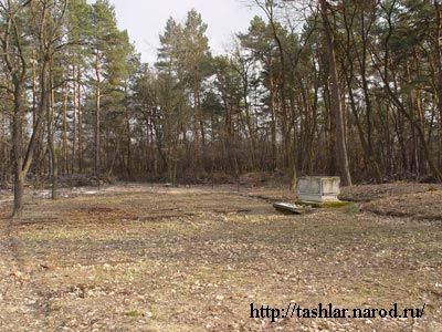 Кладбище военнопленных татар под Вюнсдорфом (Восточная Германия)